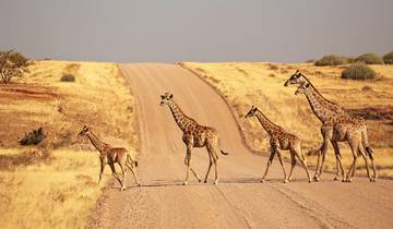 Nomadic Namibia 35 to 45 (35 To 45)