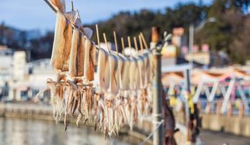 Highlights of South Korea