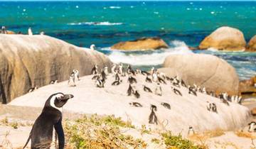 15-daagse Zuidelijk Afrika ervaring-rondreis
