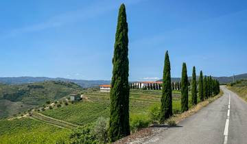 De Dourovallei van Portugal - In het werelderfgoed van Bragança naar Porto (8 dagen)