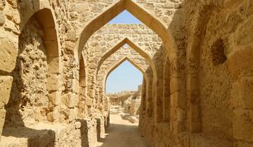 Rêve arabe et perles du Golfe Persique (12 destinations)