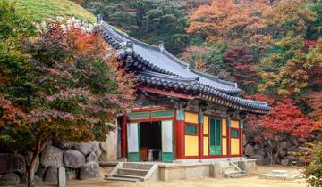 Exploring Japan and Korea Tour