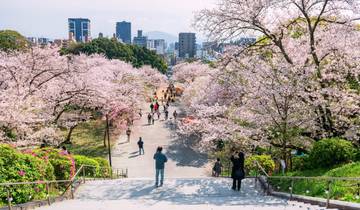 De Séoul à Kyoto (16 destinations) circuit