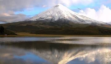 Les points forts de l'Équateur : Des Andes à l'Amazonie