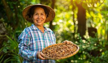 Sumatra & Maleisië: klaar om rond te hangen met orang-oetans?