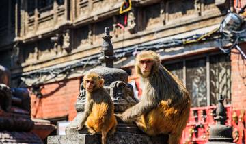 Nepal Calling : Holy Stupas, What a View ! (8 destinations) circuit