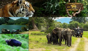 Le Kerala en un coup d\'œil - 06 jours d\'excursion privée circuit