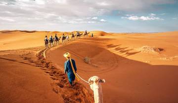 Circuit privé de 11 jours de Marrakech à Chefchaouen et aux villes impériales d\'Essaouira via Sahara Desert Luxury Camp/ Best of Morocco circuit