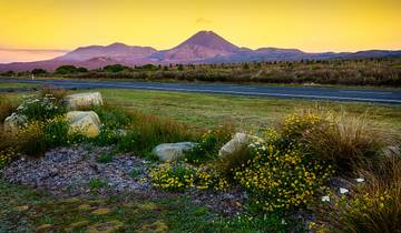 Australien & Neuseeland - 34 Tage am anderen Ende der Welt