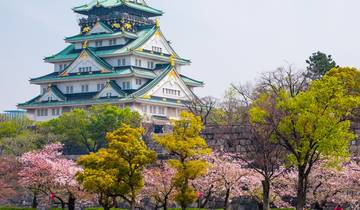 Hoogtepunten van Japan van Tokio naar Osaka (4 sterren) - 7 dagen-rondreis