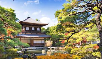 Circuito Tokio, Kanazawa y Osaka (3 estrellas) - 10 días