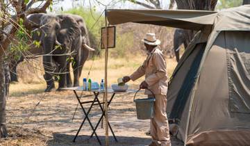 Piste sauvage du Botswana : 8 jours de safari à Moremi, Savuti et Chobe