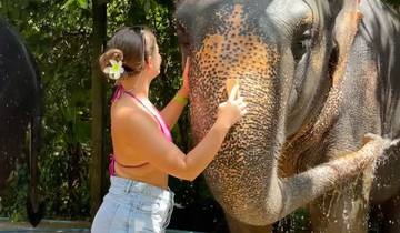 Aventure dans la nature et le patrimoine du Sri Lanka