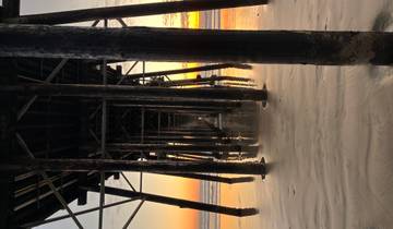 Los Angeles: Where Hollywood Meets the Ocean