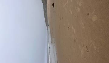 Los Angeles: Where Hollywood Meets the Ocean