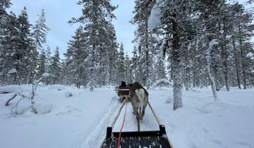 Laponie : expédition dans la nature sauvage de l'Arctique