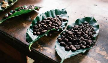 Signature Costa Rica - Là où la nature répond