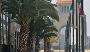 MAGIE SUD - EST circuit