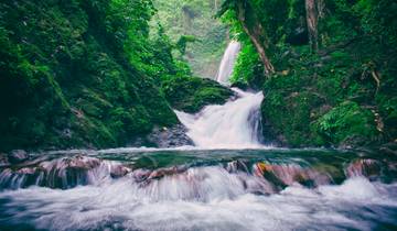 Kerala Tour with Houseboat and Wildlife