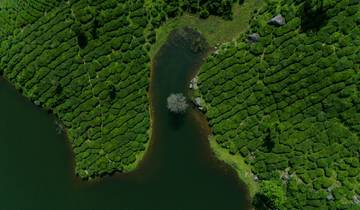 Circuit de 5 jours au Kerala : Les collines, la faune et les backwaters circuit