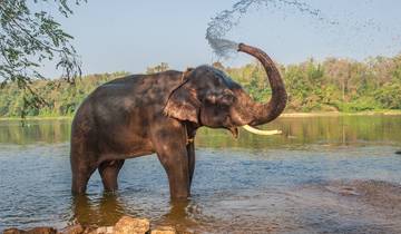 Départ de Cochin : Voyage privé de 5 jours au Kerala avec Munnar, Thekkady et Houseboat circuit