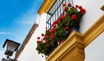 20-Day Trip Spain & Portugal from Madrid