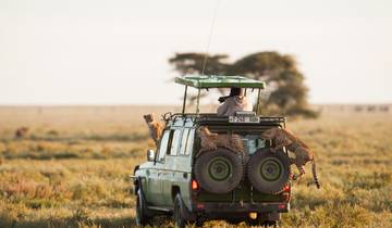 4-daagse groepssafari Kenia: Masai Mara Wildebeest Migratie-rondreis