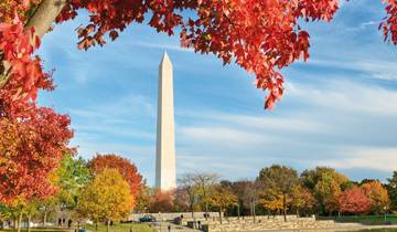 Best of New York City mit Washington DC