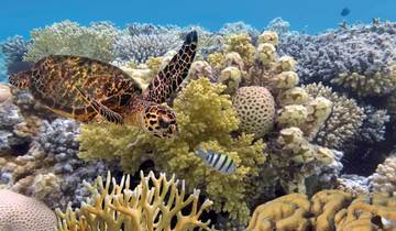 Traumziel Down Under - Australien und Neuseeland