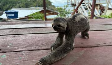 Hôtes d'une communauté amazonienne au cœur de la jungle