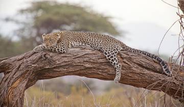 1 jour de visite du parc national de l\'Akagera circuit