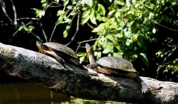 15 Day Costa Rica Itinerary, incl. San Jose and Tortuguero