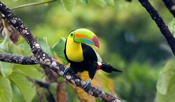 15 Day Costa Rica Itinerary, incl. San Jose and Tortuguero