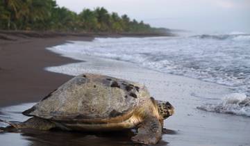 15 Day Costa Rica Itinerary, incl. San Jose and Tortuguero