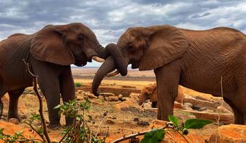 AVENTURA DE 3 DÍAS EN EL PARQUE NACIONAL DEL TSAVO ESTE