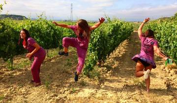 Madrid - San Vino Wine Fight Bus aller-retour