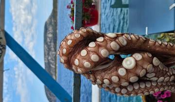 Aventure à la voile dans le golfe Saronique