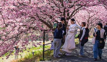 Circuit personnalisé de 5 jours à Hokkaido avec guide privé