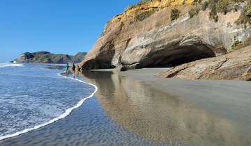 The Top of the South