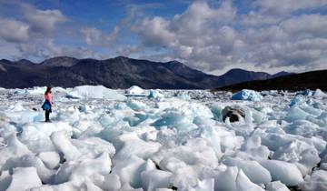 Randonnée exploratoire au bord de l'Icefjord - *TREK* guidée (tout compris)