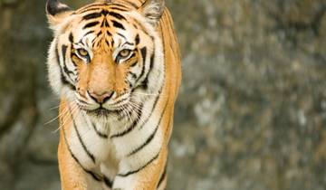 Hoogtepunten van Noord-India, Duitstalige reisleiding-rondreis