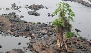 Option 2: Cultural & Coastal Circuit in Cameroon – 9 Days
