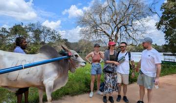 Authentiek Sri Lanka - 6 Dagen | Luxe | 3 - 4 Sterren Hotels-rondreis