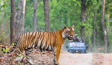 Circuit du Triangle d\'Or avec Ranthambore dans des hôtels 4 étoiles de luxe circuit