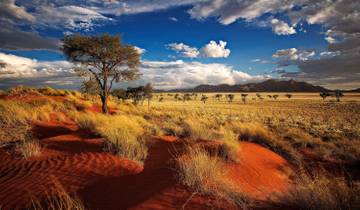 Discover Namibia - Camping Tour