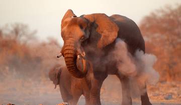 13 Days in Namibia, incl. Windhoek and Etosha National Park