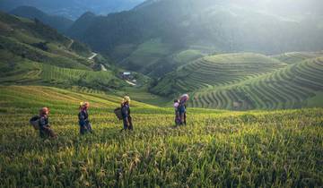 Circuito Experiencia única en Vietnam - Viaje de 14 días de Norte a Sur