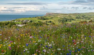 7-daagse trektocht met eigen gids langs de Antrim Causeway Coast (7 dagen)