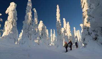 Snowshoeing in Finland Tour