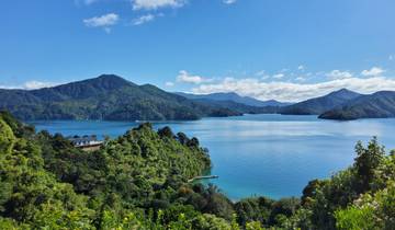 The Coastal Explorer